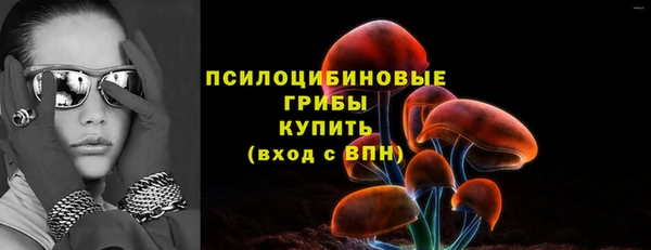твердый Арсеньев
