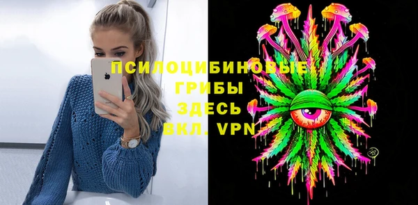 крисы Аркадак