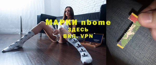 твердый Арсеньев