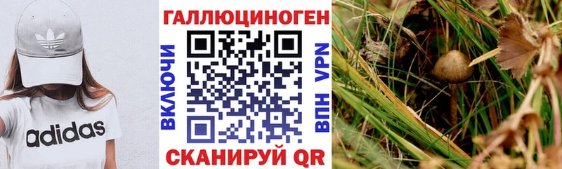 Купить закладки  Суровикино  Галлюциногенные грибы прущие грибы 